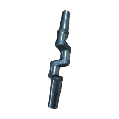 120 Plunger Pump Crankshaft