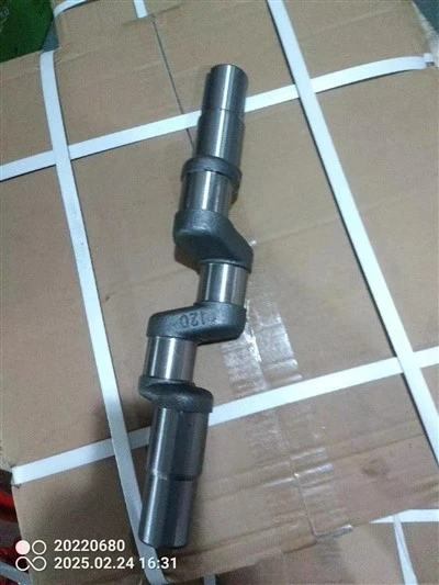 120 Plunger Pump Crankshaft